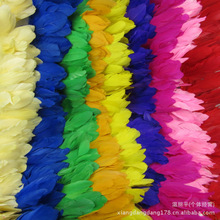 厂家现货供应  67色服装辅料 鸵鸟毛布边1米起订 装饰羽毛布边详情10