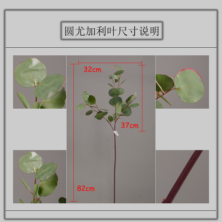 Dongli Flower Industry, the original manufacturer, offers direct sales of green plants in stock, wholesale of artificial leaves, round leaves with fruits, eucalyptus leaves, eucalyptus leaves, and one-piece consignment pic 7