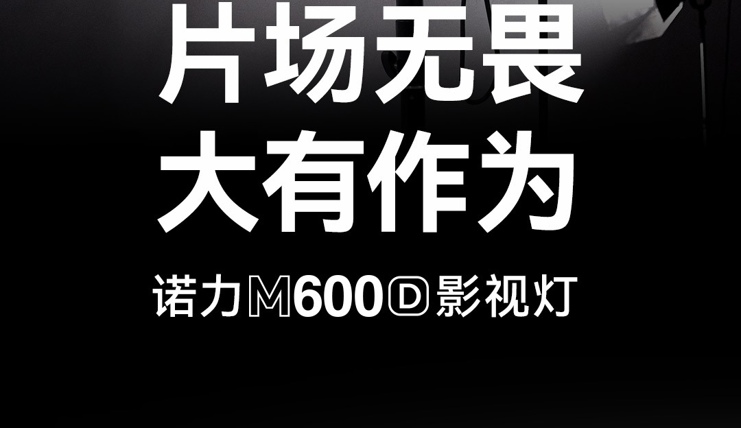 Shenniu M600D film and television light, 600W, professional studio shooting, photography and video recording, constantly lit high-power LED fill light pic 3