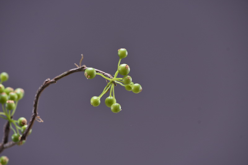 Lanjin Artificial Fruit Factory Direct Sales, wholesale of artificial berries, artificial green vine fruits, Chinese modern and simple decoration, winter green fruits, and mountain prosperity fruits pic 15