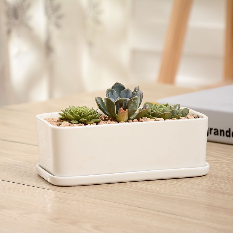 Best-selling succulent plant ceramic flowerpots, simple succulent flowerpots, creative rectangular POTS, white porcelain flowerpots pic 4