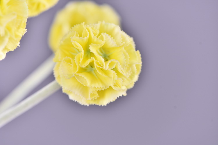 High-quality artificial flowers of windmill chrysanthemum in stock, windmill flower, pine, insect fruit, living room, wedding decoration, flower arrangement art, windmill fruit pic 17