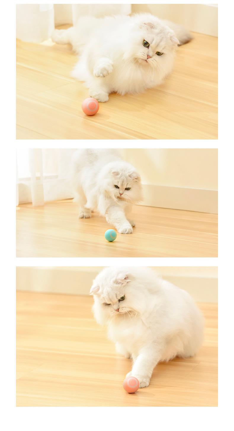 Pet toys: Gravity intelligent Rolling ball toys, teething and biting interactive fun cat toys pic 5