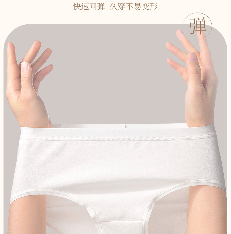 女士纯棉内裤无缝60支长绒棉7a抑菌全棉女高腰无痕三角内裤春批发详情27