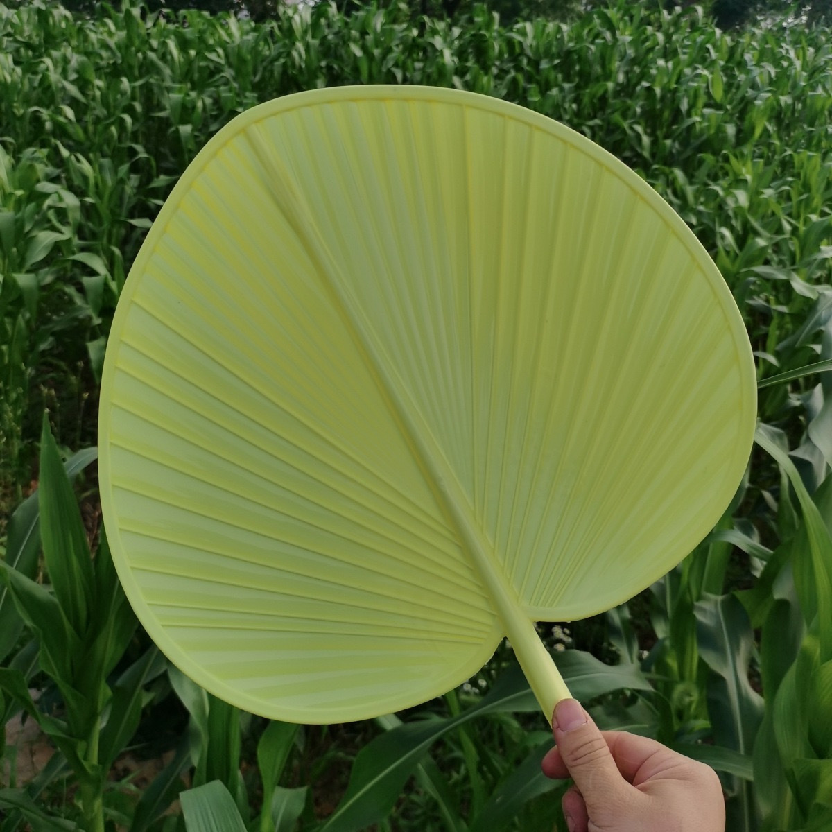 新款手摇大蒲扇加厚加大防摔坏扇子夏季扇子家用芭蕉扇子老式葵扇详情9