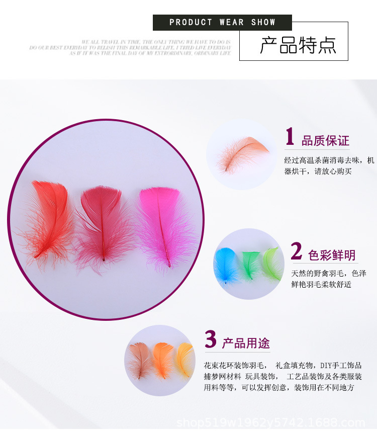 厂家直销优质天鹅毛 DIY彩色小飘羽毛 舞台服饰装饰辅料羽毛批发详情3