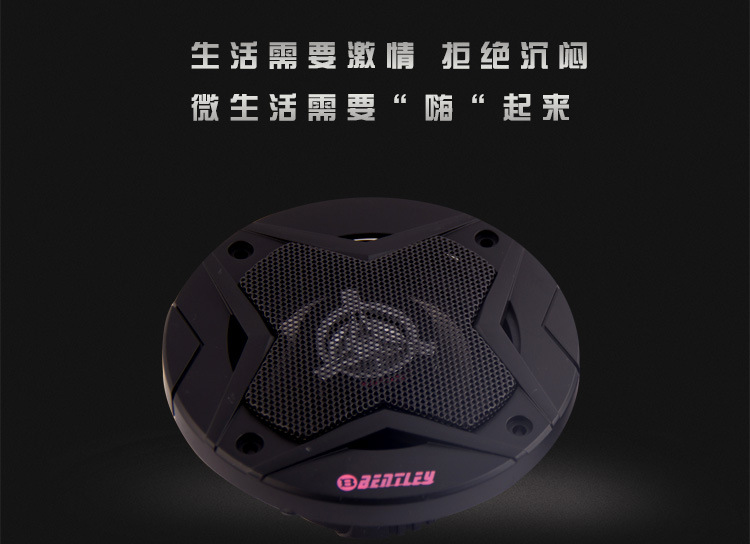 Full-range car speaker, high-frequency car speaker, high-power car modification, coaxial speaker, car-specific speaker pic 2