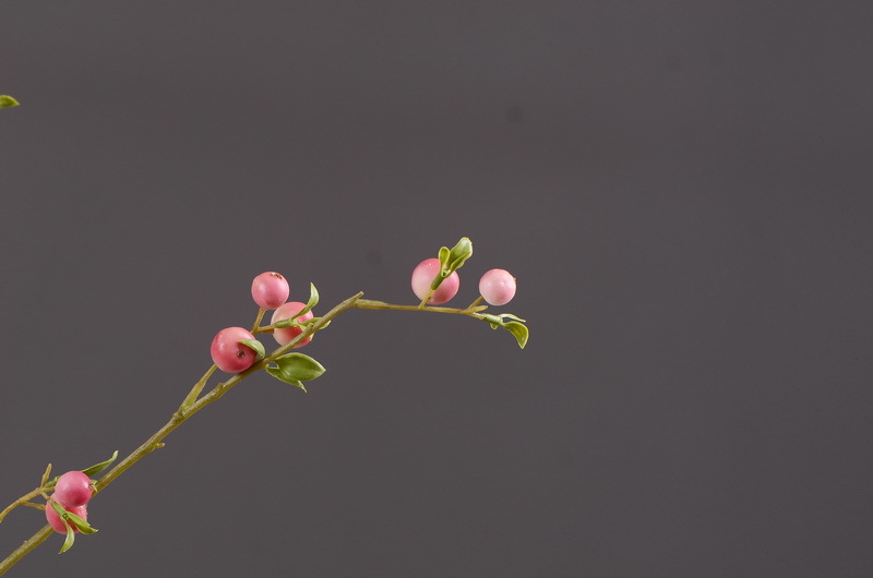 Factory direct sales of simulated small apple branches with leaves for home entrance and hotel soft decoration, as well as simulated fruit branches of the money fruit pic 16