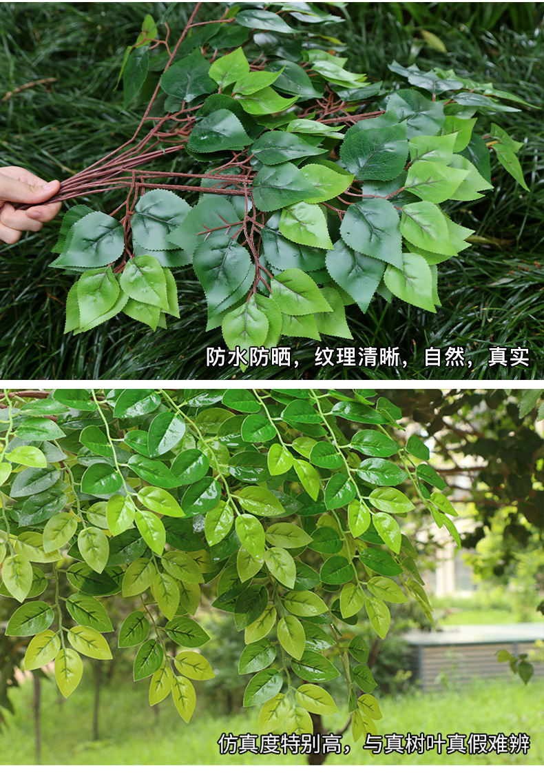 仿真榕树叶过胶塑料榕树枝绿色植物银杏红枫叶子假树枝装饰造景详情12