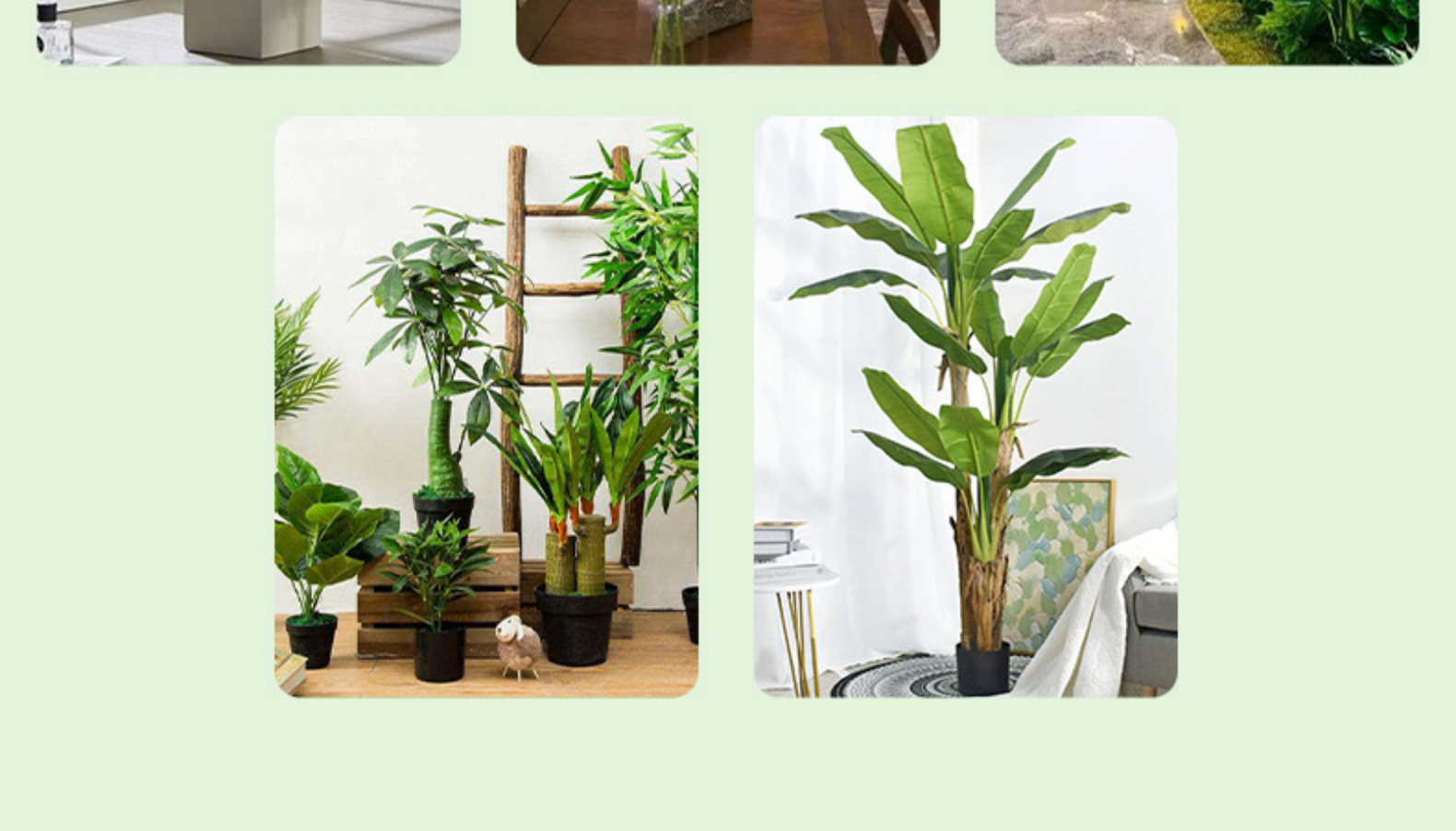北欧风仿真琴叶榕盆栽 室内客厅装饰 大型仿真植物摆件橱窗布景详情13