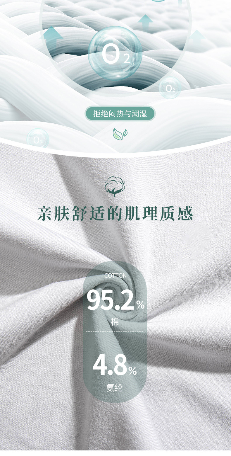 戴丝妮6086模板_08.jpg