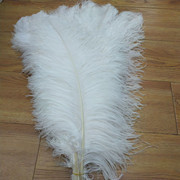 The feather fan is a special prop for the dance performance of the ostrich-colored feather fan used by the palace film crew pic 17