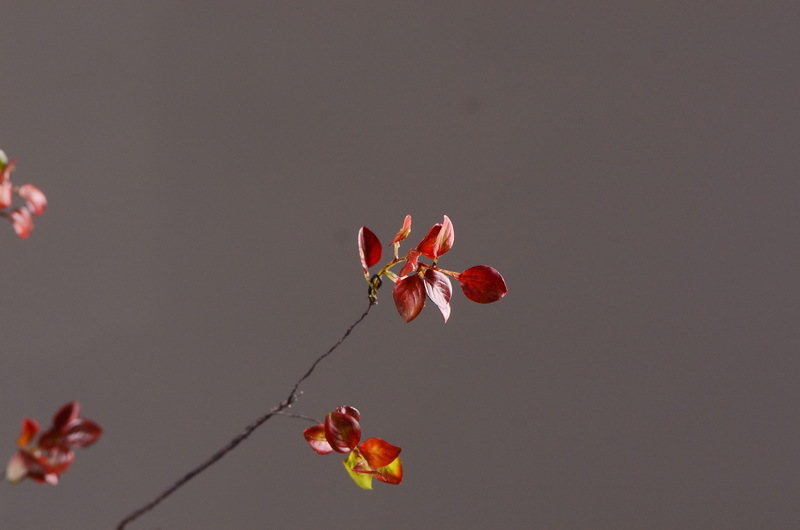 Flower Knowledge, simulating spring rain leaves, New Chinese-style Zen-inspired soft furnishings, flower leaf materials, simulating touch, autumn leaves, home decorations, floral art pic 20