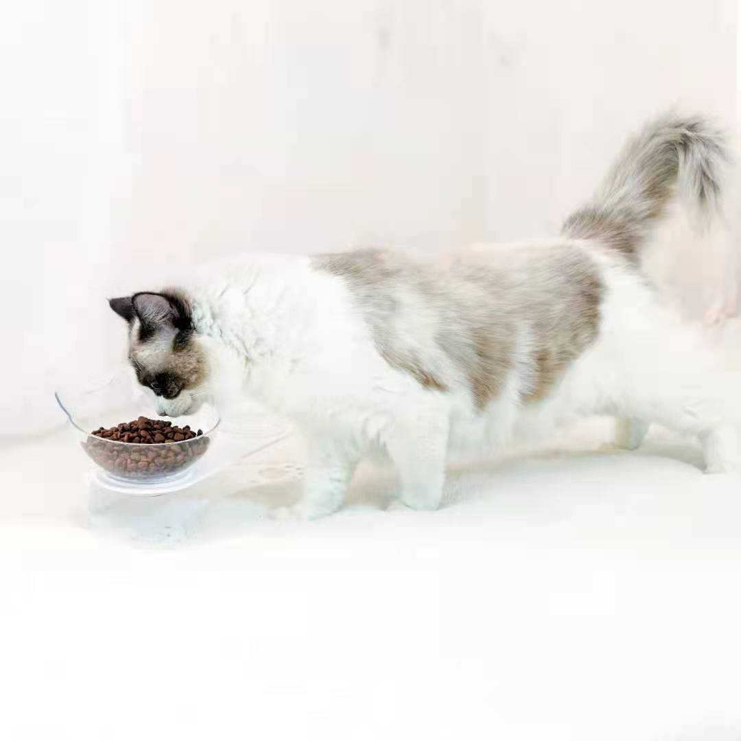 Pet bowl, cat neck guard, transparent tilted cat face, double bowl, dual-purpose, splash-proof dog food set in stock pic 7