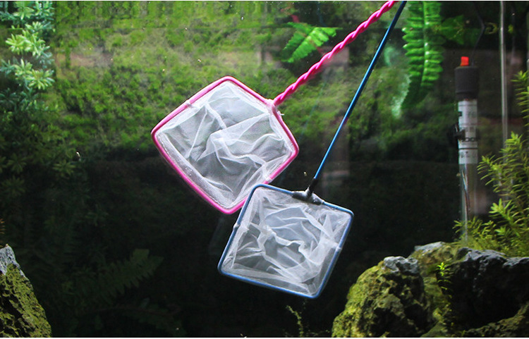 7-inch fish-catching fishing net, hand-drawn net, fish tank, small fish-catching fishing net, aquarium products manufacturer wholesale pic 28