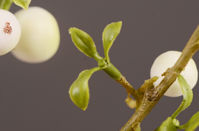 Factory direct sales of simulated small apple branches with leaves for home entrance and hotel soft decoration, as well as simulated fruit branches of the money fruit pic 8