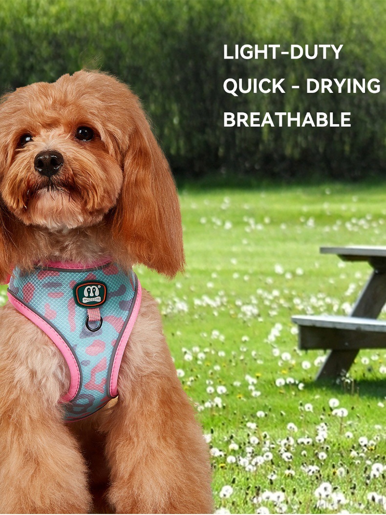 Factory wholesale in stock. Summer hot sale: Three-piece set of cute cat and dog pet chest and back straps, dog walking leashes, garbage bags pic 4