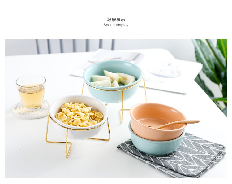 Nordic creative home ceramic pet bowls and food bowls with metal frames that are disassemblable and easy to clean pic 9