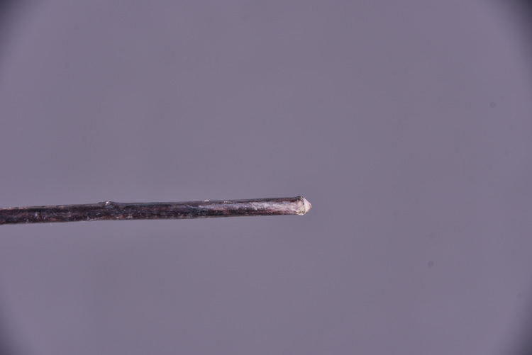 Wholesale of artificial flowers from the original factory, including artificial pear blossoms, cherry blossoms, duckweed flowers, model rooms, living rooms and hotel decorations pic 10