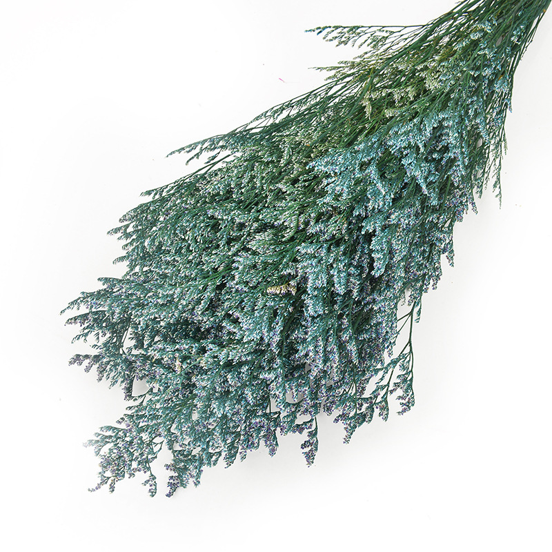 永生情人草批发干花云南干花花束保鲜花情人节礼物配材春节插花                               详情14