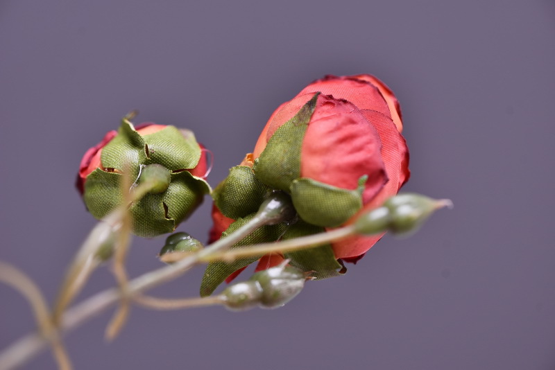 Simulated retro charred edge rose bud home, hotel, banquet table flower, high-end simulated rose, simulated dried flower pic 9