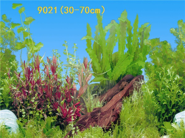 30cm tall, single-sided thin aquarium fish tank background painting, aquarium equipment and supplies glass sticker background painting pic 39