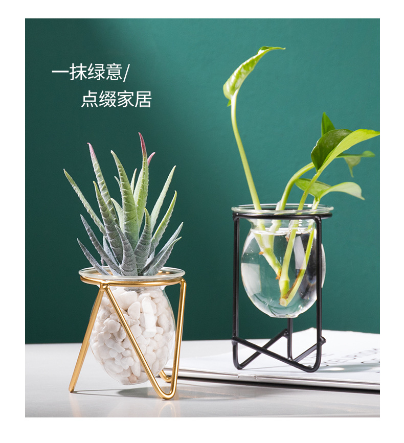 Nordic ins metal, ironwork, glass, hydroponic container, flower arrangement, creative home and office desktop flower arrangement pic 31