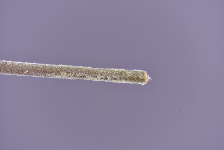 Dongli Flower Industry Factory directly sells artificial roses, ice mountain roses, home furnishings, hotels, shopping malls, wedding decorations, artificial flower bouquets, and high-end ornaments pic 57