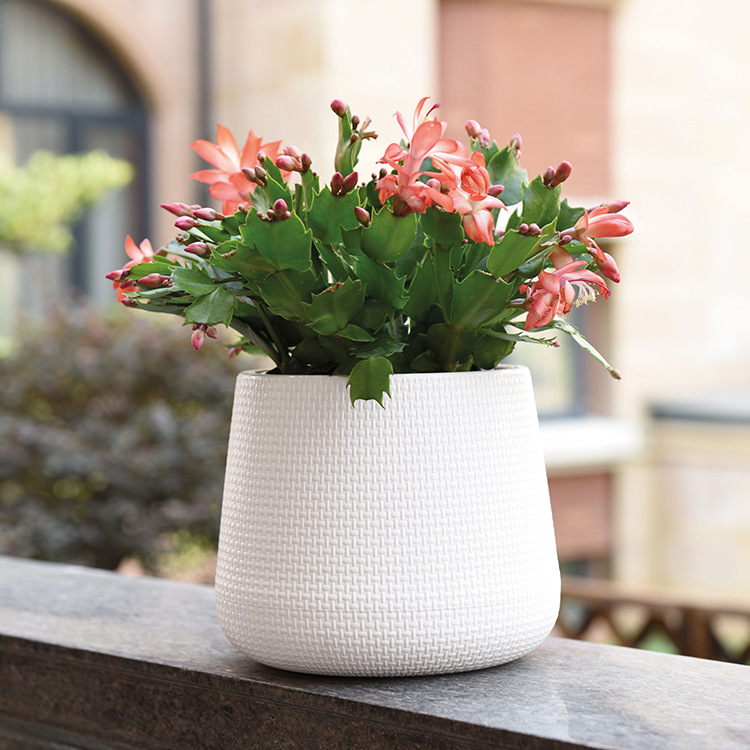 现代酒店装饰居家园艺花盆花盆摆件出口欧洲时尚花盆组合式花盆详情6