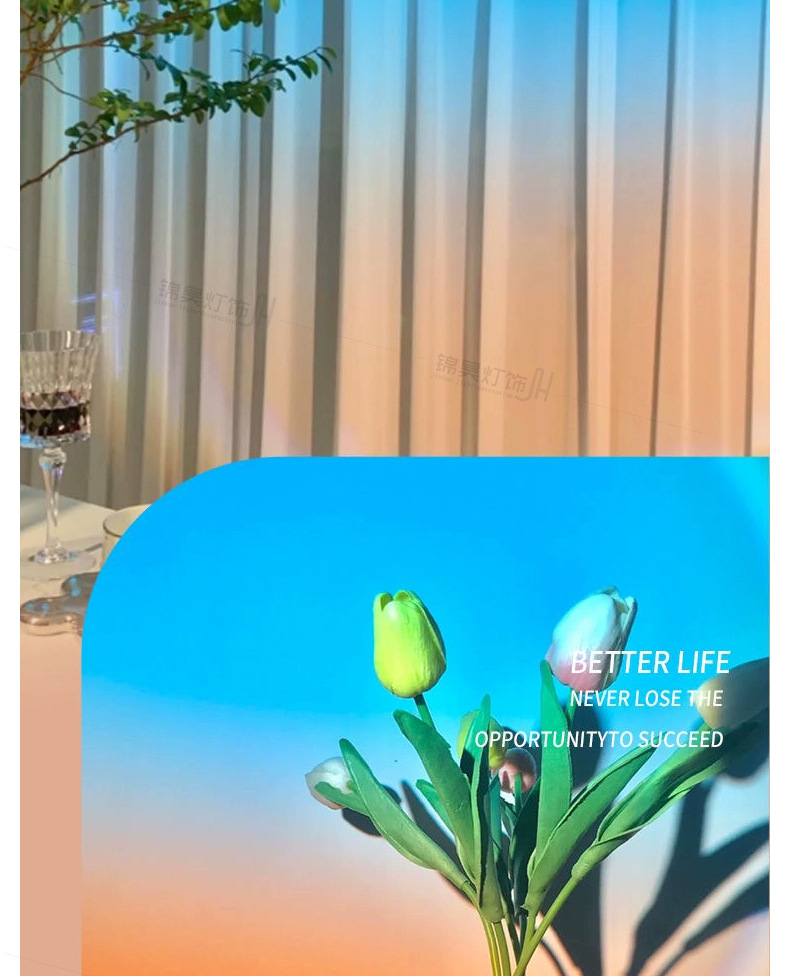 明装日不落射灯嵌入洗墙背景墙玄关直播商用日落夕阳过道氛围射灯详情3