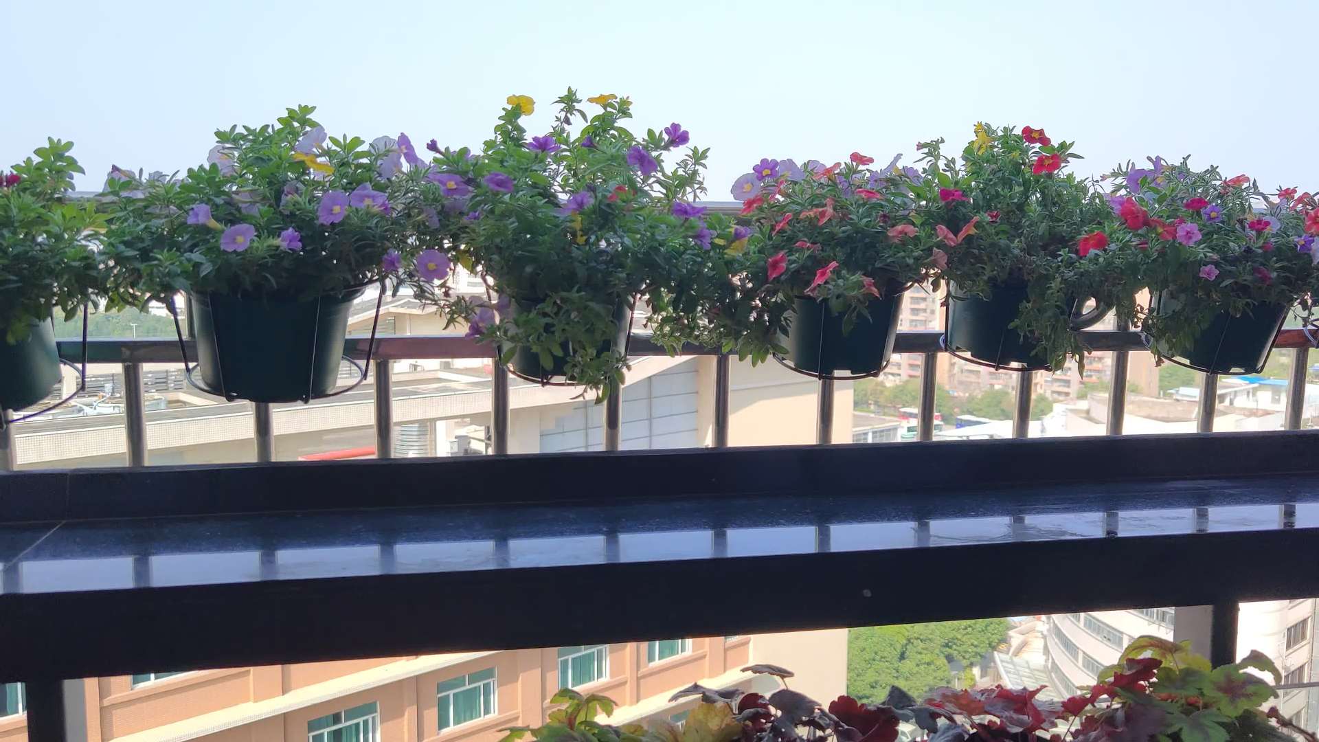 Circular flower pot hanging rack, ironwork guardrail, flower pot hanging rack, balcony hanging flower pot rack, railing rack pic 15