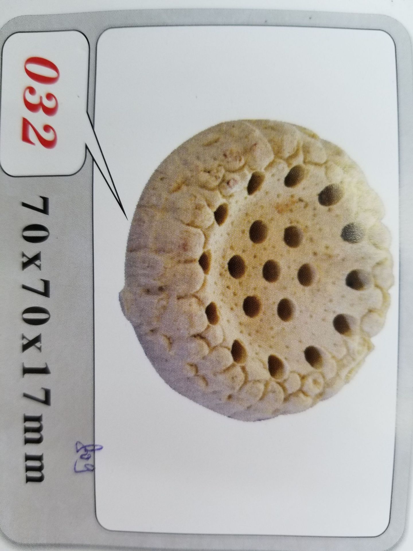 Baojie Aquarium Base, simulation aquatic plant base, fish tank aquatic plant base, ceramic base manufacturer wholesale pic 61