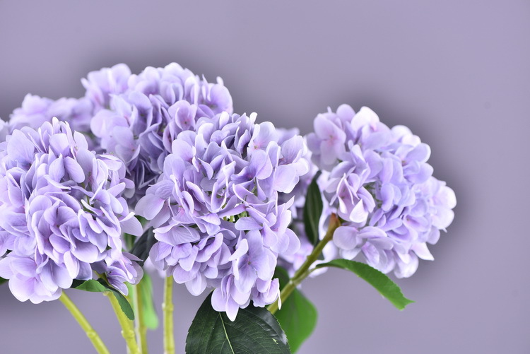 Factory supply of artificial hydrangeas, high-end hydrangea wholesale, wedding, home, hotel landscaping, main flowers, decorative artificial flowers pic 39