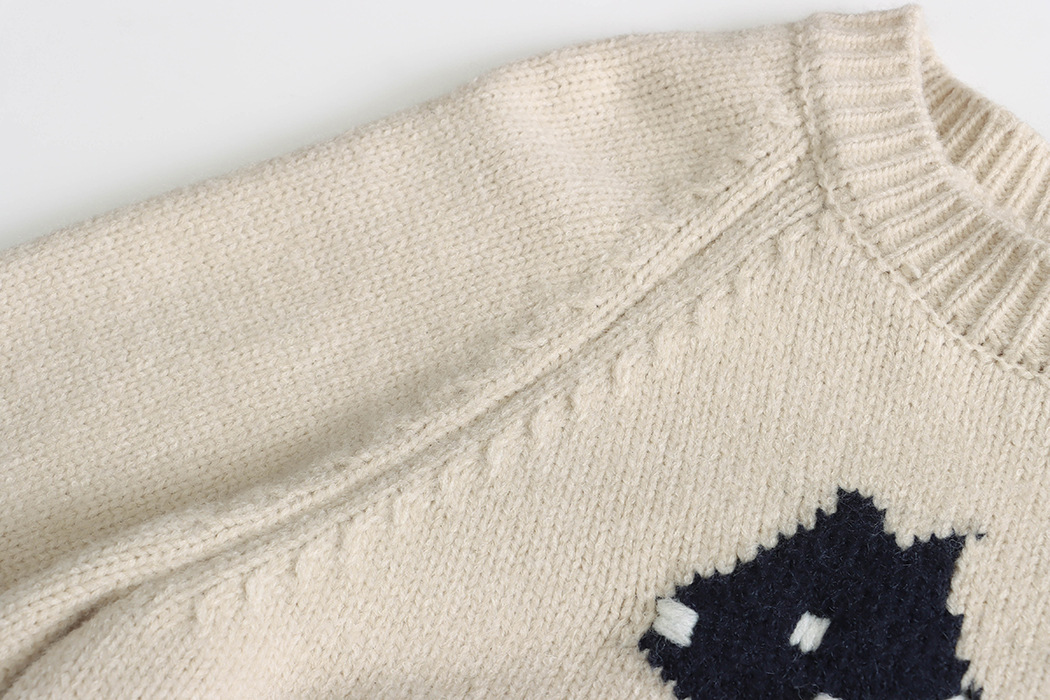 3th Morning North Island Park Korean Style Youthful Dog Embroidered Round Neck Pullover Sweater ZY2381 pic 82