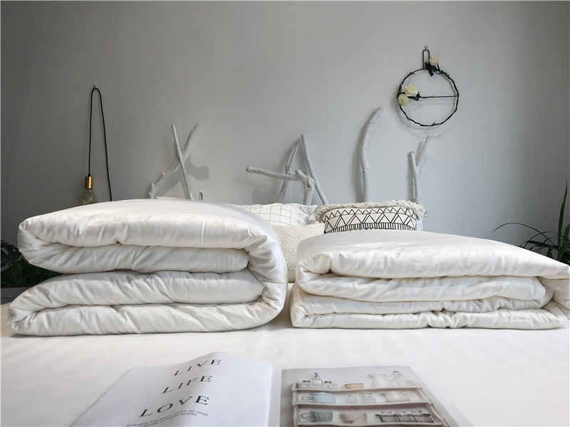 Light luxury 60S soy protein jacquard fiber quilt core, spring and autumn quilts, winter quilts, single and double soft quilts for students pic 6