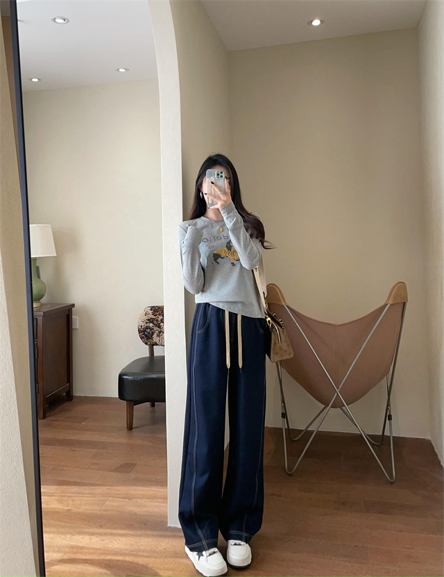 Playful and youthful embroidered printed puppy loose straight top straight-shoulder round-neck long-sleeved T-shirt for women 2025 early Spring G021418 pic 26