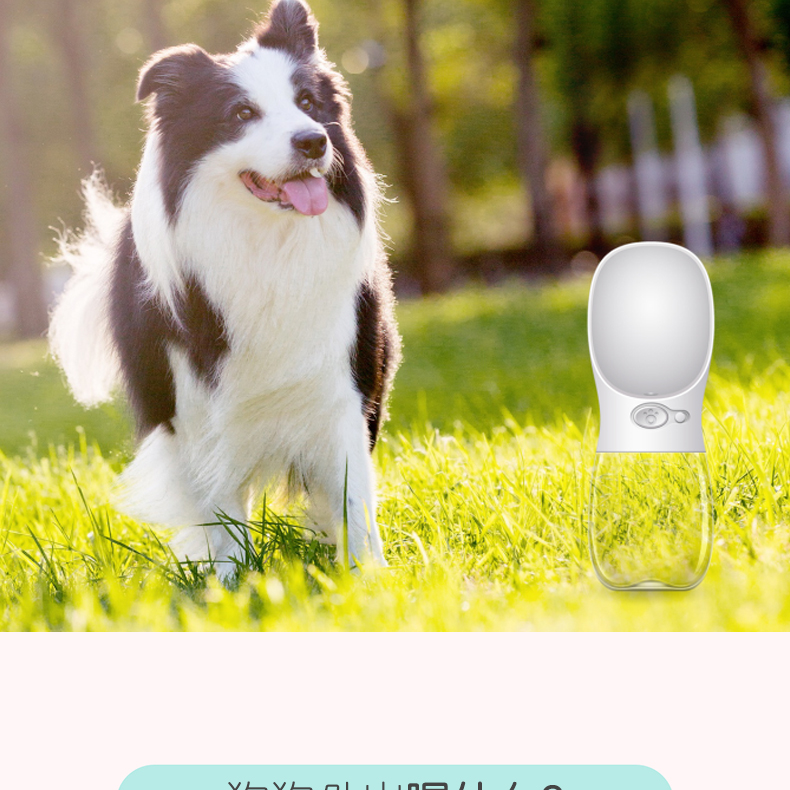 亚马逊宠物饮水杯外出随行杯户外便携式狗饮水器现货批发详情13