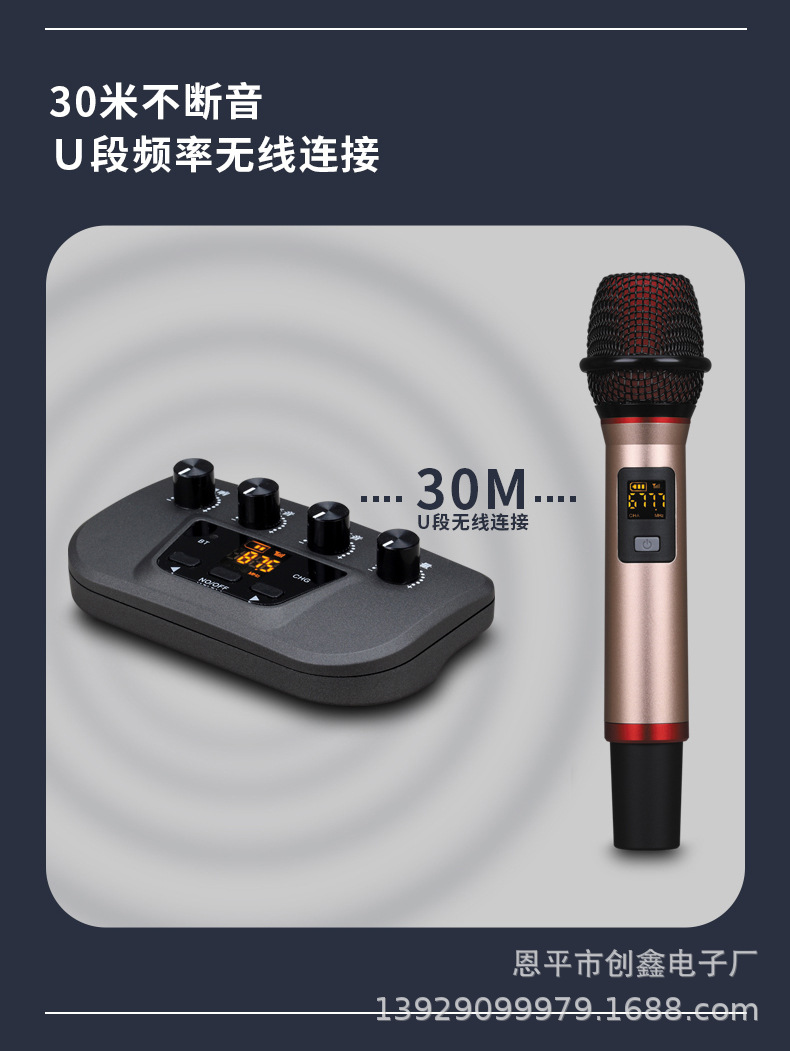 A best-selling karaoke gadget, a multi-purpose dual-microphone combination for car home audio systems pic 3