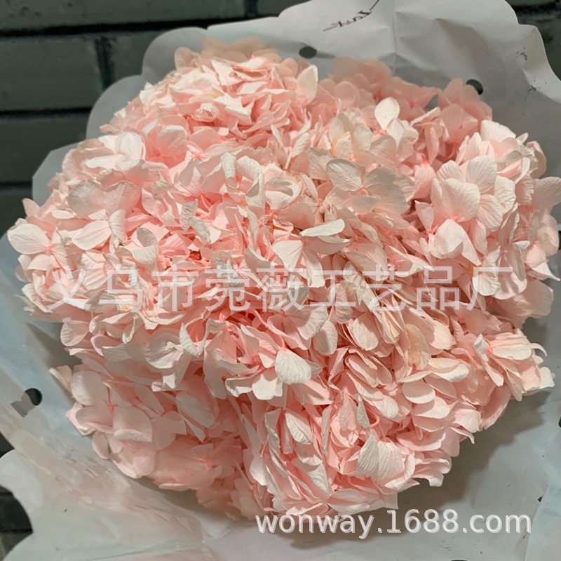 Natural plant, evergreen, large-leaf hydrangea, flower arrangement, handicrafts, soft furnishing grass pic 6