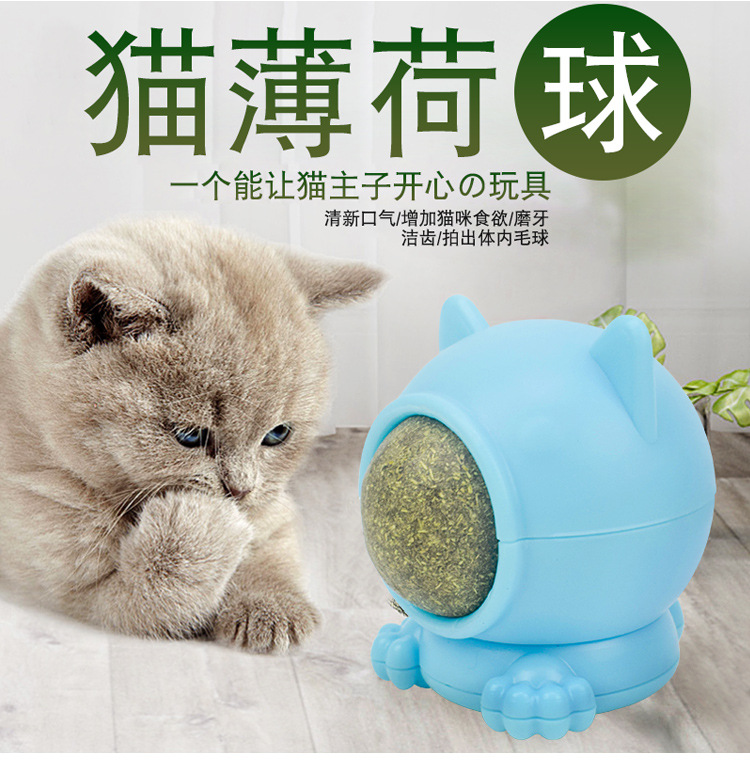 宠物猫用品猫玩具 磨牙洁齿逗猫木天蓼磨牙球 旋转舔舔乐猫薄荷球详情3