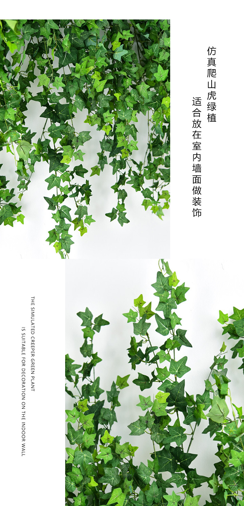 未标题-2_14.jpg