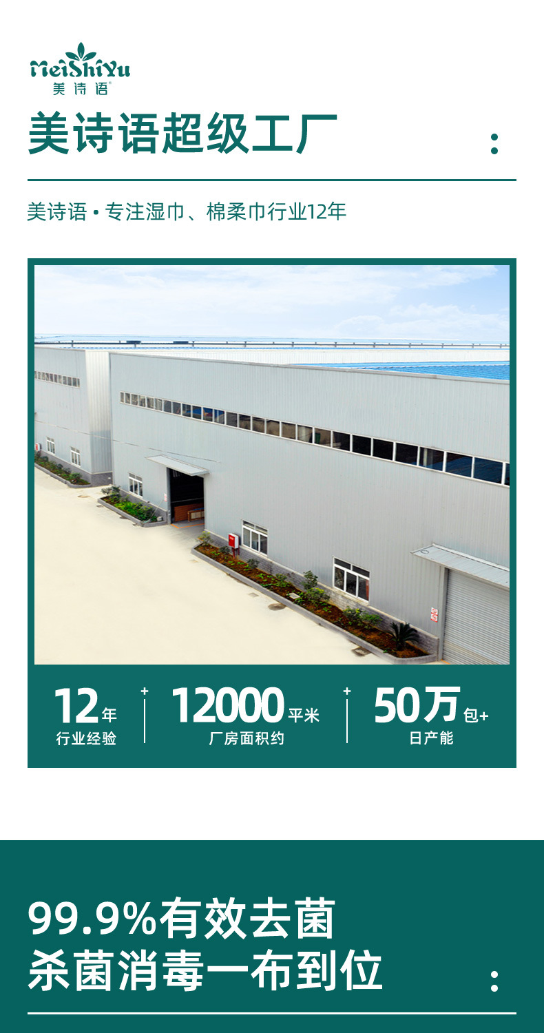 跨境英文含75%酒精消毒湿巾家用大包卫生湿纸巾一次性除菌湿纸巾详情11