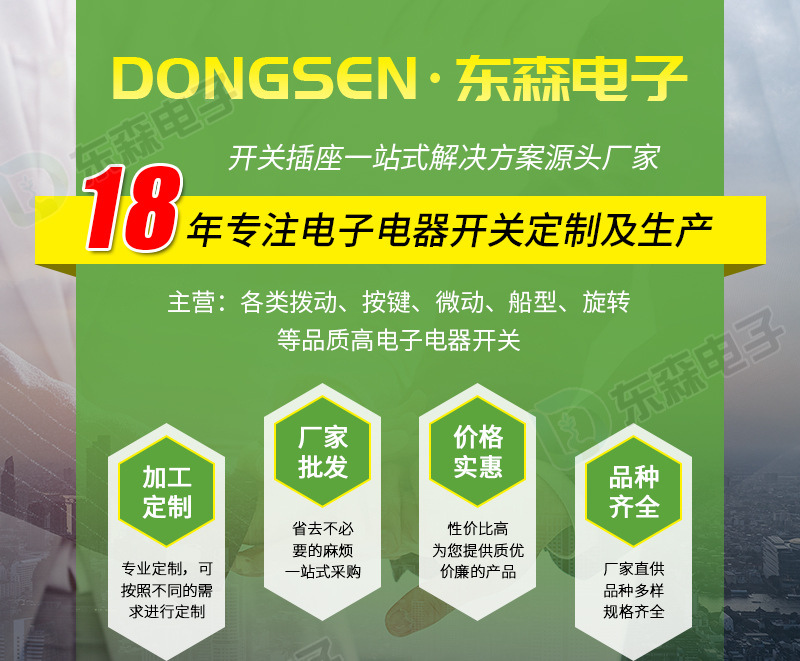 SS25H20 vertical five-position twelve-pin high-power toggle switch, LED lighting appliance, high-current switch pic 1