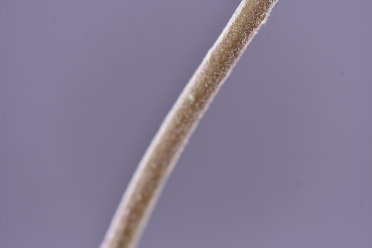 Dongli Flower Industry Factory directly sells artificial roses, ice mountain roses, home furnishings, hotels, shopping malls, wedding decorations, artificial flower bouquets, and high-end ornaments pic 53