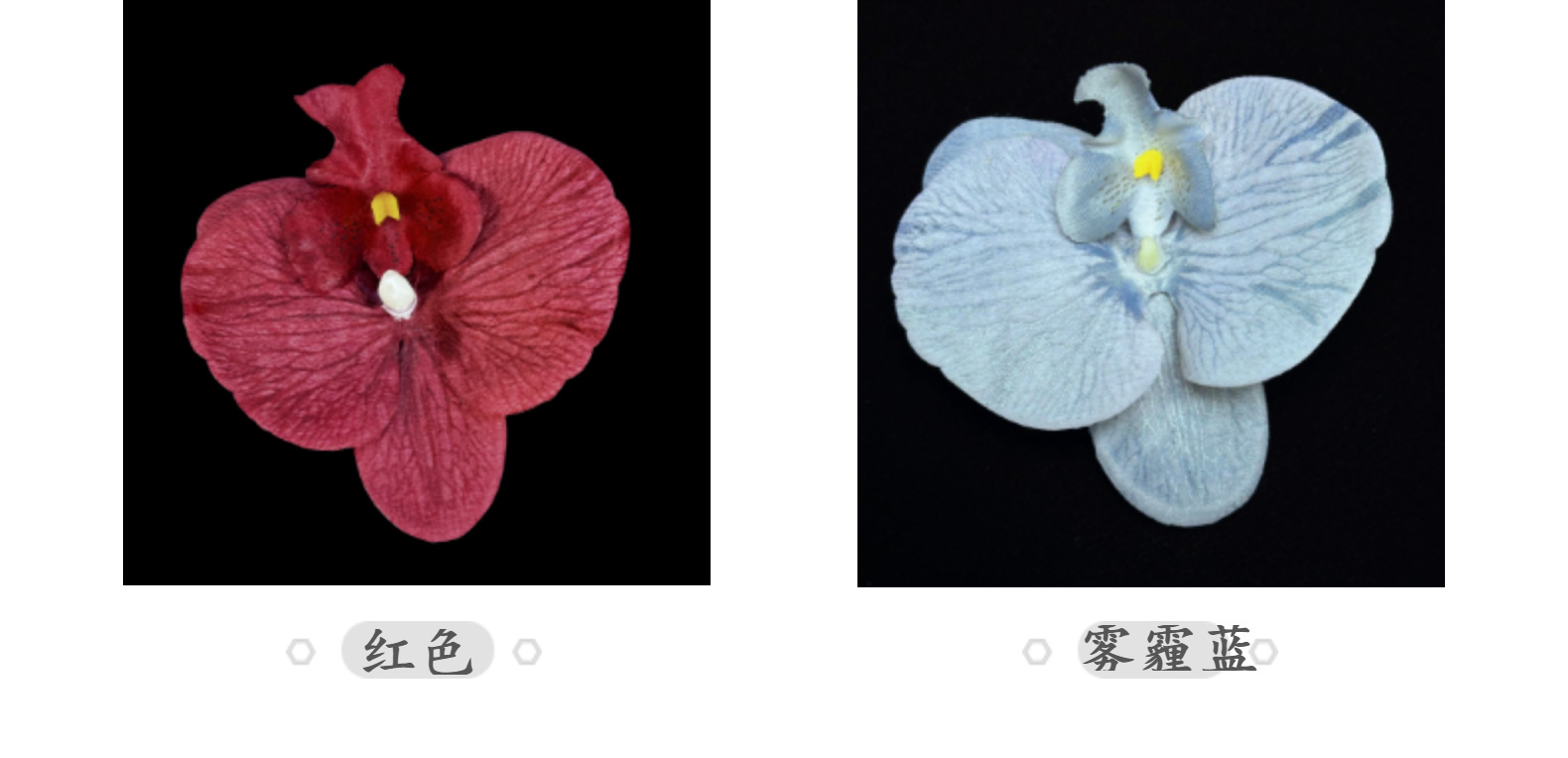 仿真蝴蝶兰花头11.5CM假花diy绢花婚礼装饰花艺簪花材料摆件批发详情13