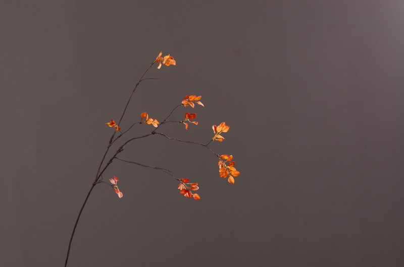 Flower Knowledge, simulating spring rain leaves, New Chinese-style Zen-inspired soft furnishings, flower leaf materials, simulating touch, autumn leaves, home decorations, floral art pic 11