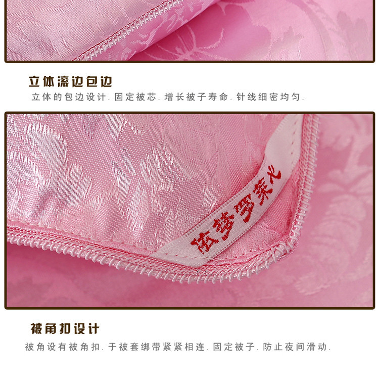 ywxuege Antarctic People Hotel Down Quilt 95 Goose Hanging thickened Warm Winter Quilt Core Single and Double Light Luxury Gift Quilt 20220706 pic 9