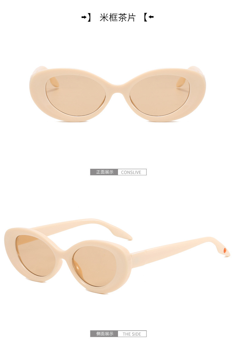 欧美跨境 新款2302椭圆小框太阳镜 时尚潮流PC框太阳眼镜网红墨镜详情12