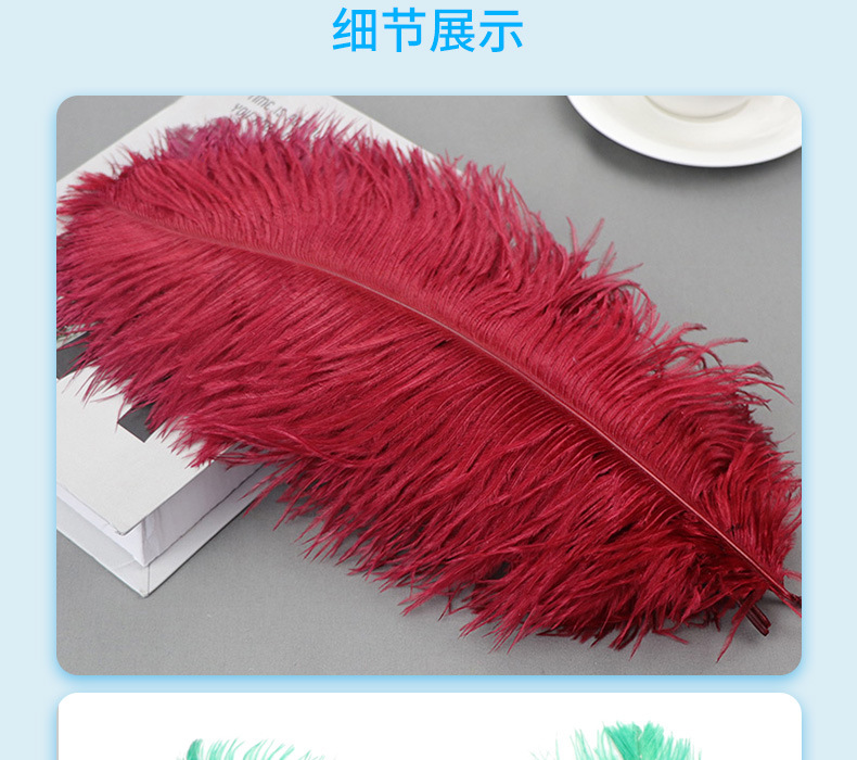 厂家现货鸵鸟毛30-35cm彩色羽毛婚礼装饰插花舞台服装婚庆指引详情16