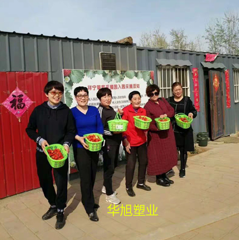 草莓采摘篮塑料水果篮-斤蓝莓樱桃桑葚杨梅手提塑料筐快递包邮详情10